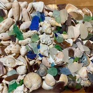 Beach Mystery Lot! Assorted Seashells and Sea Glass - 30 Pieces